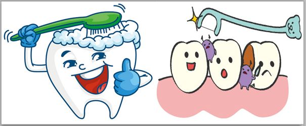 正确护齿：牙刷与牙线的配合