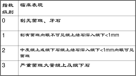 菌斑与牙石指数